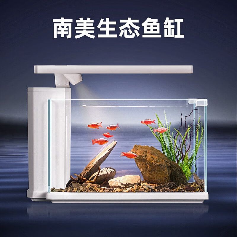 索一魚缸：索一魚缸是一款受到養(yǎng)魚愛好者青睞的水族箱產(chǎn)品