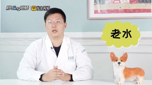 魚缸用什么樣的水養魚最好，如何自制魚缸過濾系統魚缸水溫控制技巧