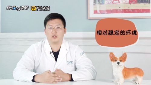 魚缸用什么樣的水養魚最好，如何自制魚缸過濾系統魚缸水溫控制技巧