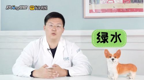 魚缸用什么樣的水養魚最好，如何自制魚缸過濾系統魚缸水溫控制技巧