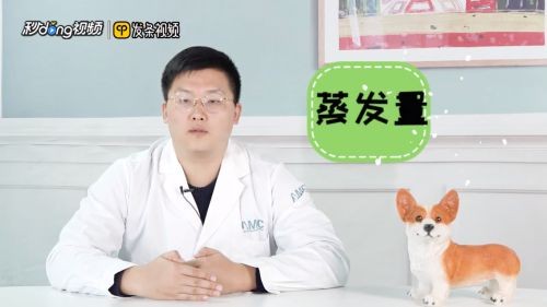 魚缸用什么樣的水養魚最好，如何自制魚缸過濾系統魚缸水溫控制技巧