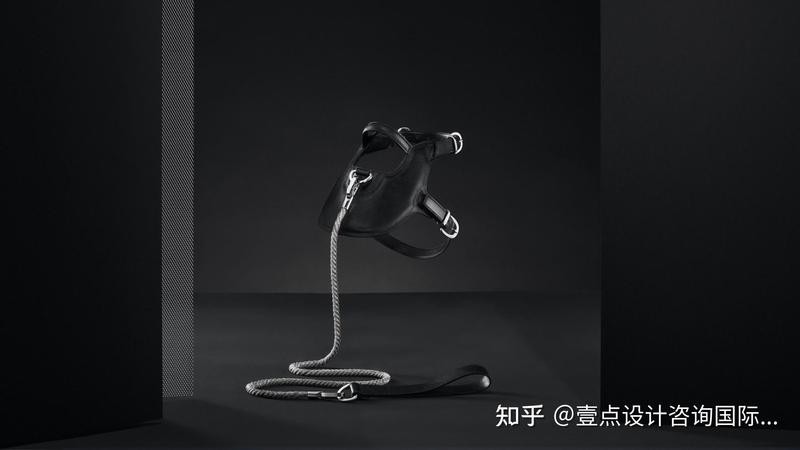 寵物行業創新獎有哪些獲獎項目？