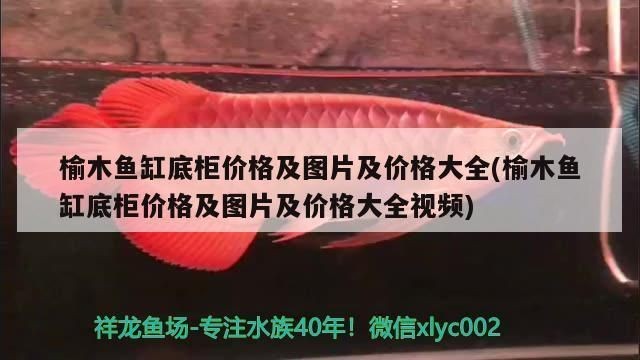 佳寶老款魚缸型號：佳寶魚缸最新款式介紹佳寶魚缸與其他品牌的比較