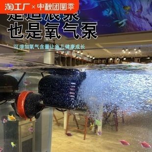龍魚缸沖浪泵一般開多久：如何改善龍魚活力不足的判斷方法