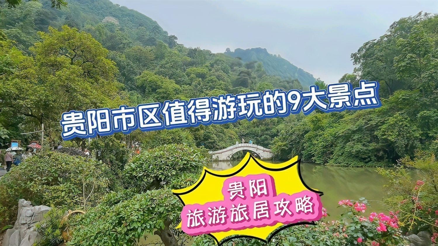 如何判斷小金頭過背是否健康，如何判斷金頭過背是否健康