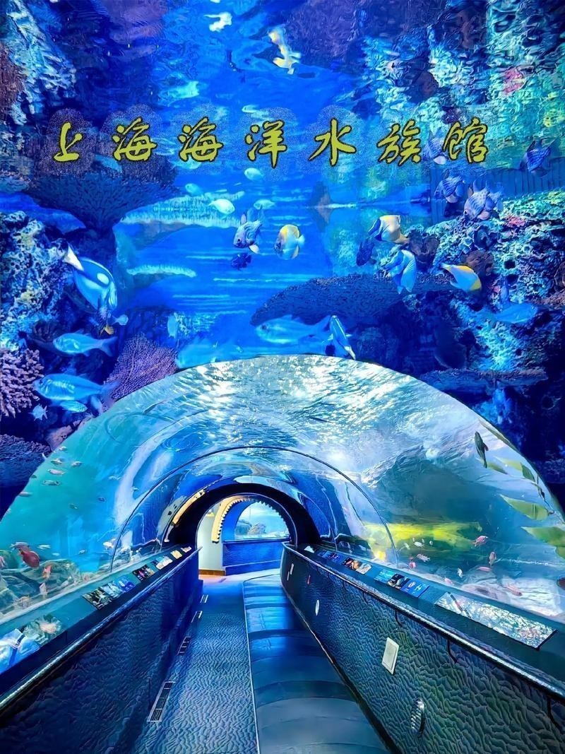龍虎匯水族館的營業時間是？