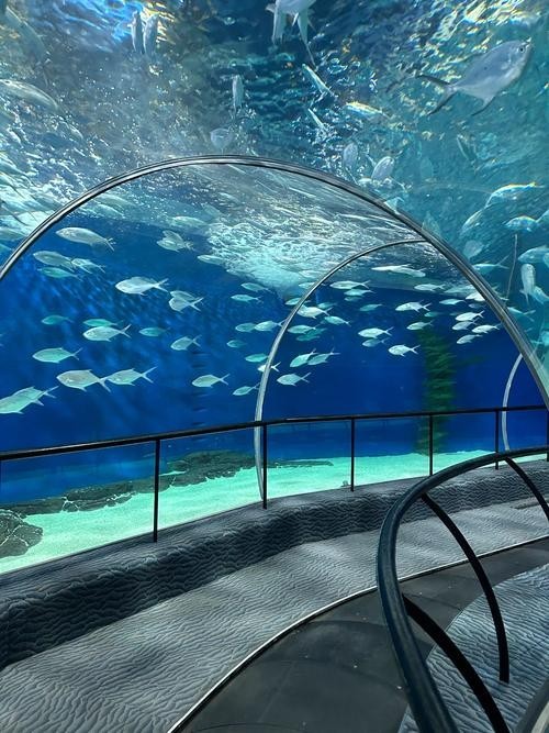 龍虎匯水族館的營業時間是？
