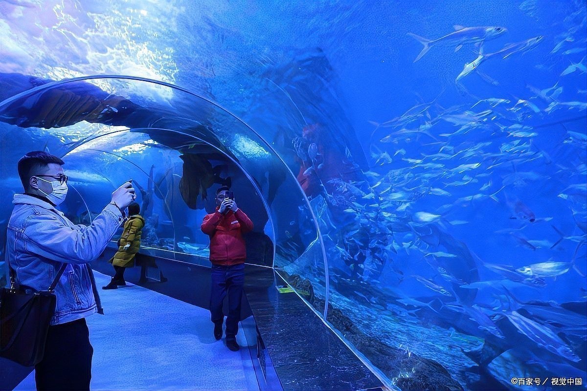 龍虎匯水族館的營業時間是？