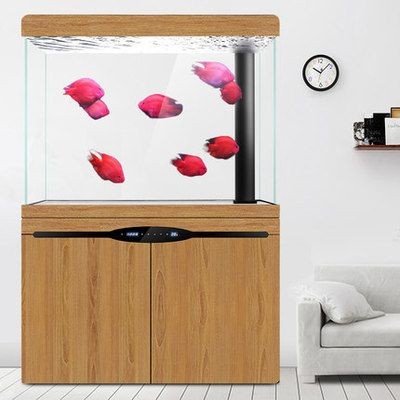漢霸魚缸的聯系方式是什么：水族箱養護技巧分享漢霸魚缸養護技巧分享水族箱養護技巧分享 漢霸魚缸的聯系方式是什么：水族箱養護技巧分享漢霸魚缸養護技巧分享水族箱養護技巧分享 魚缸百科 第3張