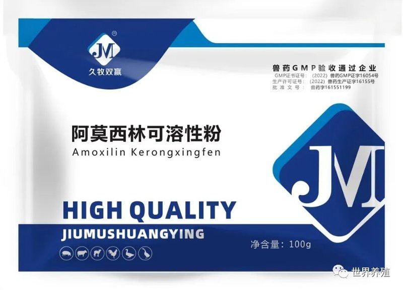 魚喂阿莫西林的正確方法