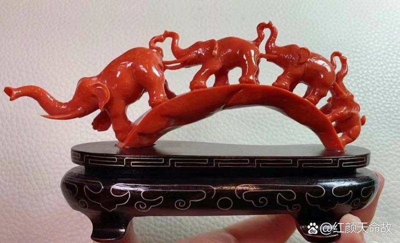 紅珊瑚真品放在水里會怎樣