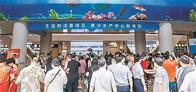 廣州最大的賣魚市場在哪里 廣州最大的賣魚市場在哪里 2025長城杯龍魚大賽 第1張