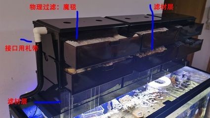 魚缸過濾器如何安裝視頻教程：如何安裝魚缸過濾器
