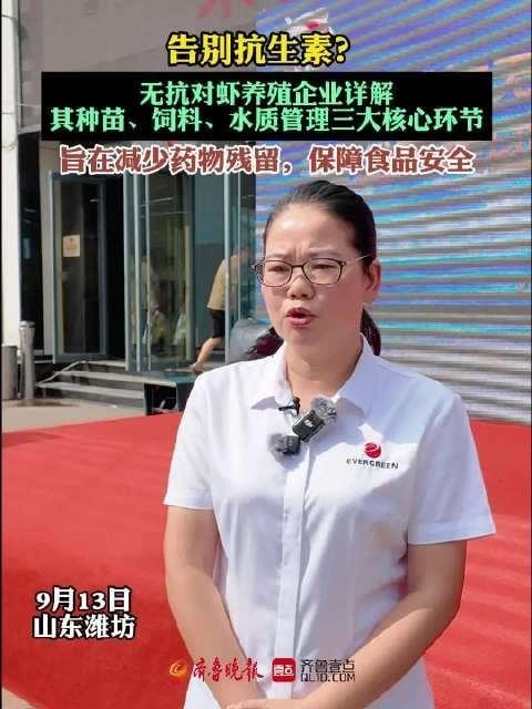 濰坊市無抗活蝦的市場反響如何？