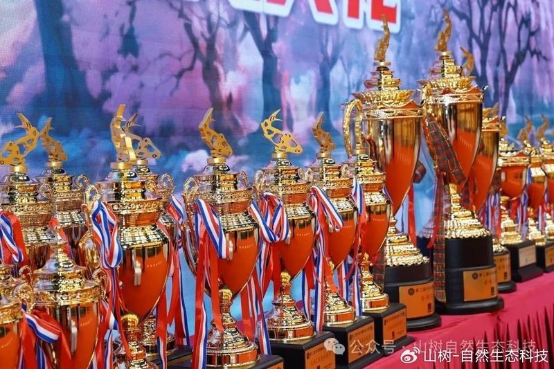 中國錦鯉大賽有哪些特色項目? 2025長城杯龍魚大賽 第1張 中國錦鯉大賽有哪些特色項目? 中國錦鯉大賽有哪些特色項目? 2025長城杯龍魚大賽 第1張