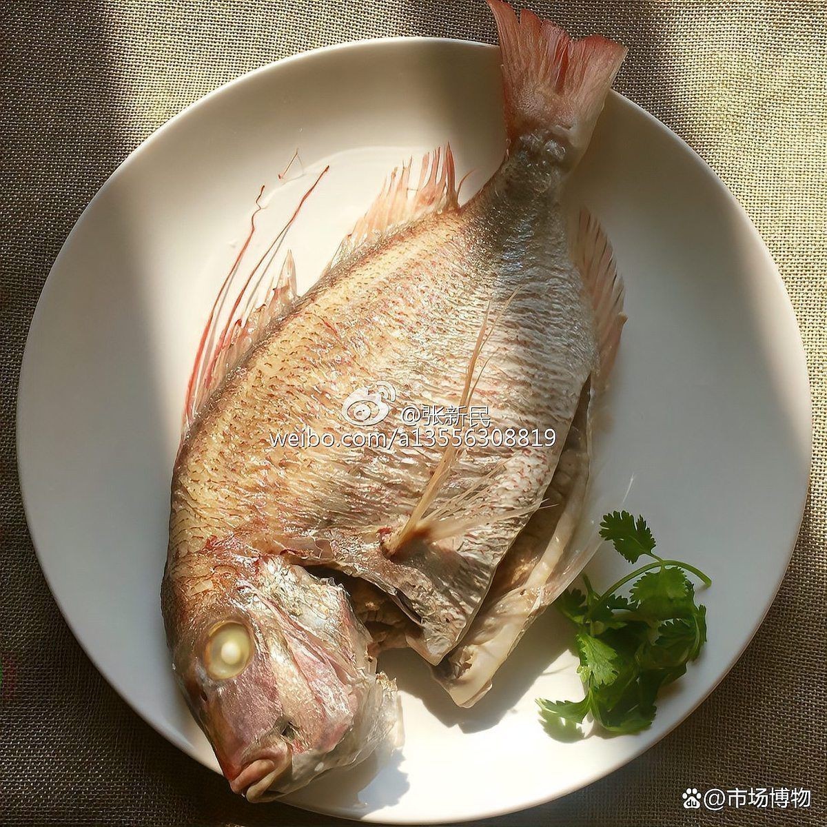 紅立魚(yú)和鯛魚(yú)的區(qū)別