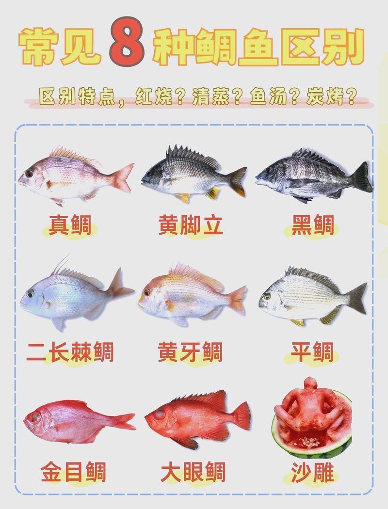 紅立魚(yú)和鯛魚(yú)的區(qū)別