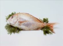 紅立魚(yú)和鯛魚(yú)的區(qū)別