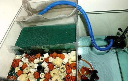 熱水器加熱過的水可以用于給魚缸換水嗎？：使用熱水器加熱過的水換水時需要考慮到水的溫度、水質清潔度等因素 熱水器加熱過的水可以用于給魚缸換水嗎？：使用熱水器加熱過的水換水時需要考慮到水的溫度、水質清潔度等因素 魚缸百科 第1張