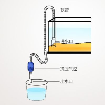 熱水器加熱過的水可以用于給魚缸換水嗎？：使用熱水器加熱過的水換水時需要考慮到水的溫度、水質清潔度等因素 熱水器加熱過的水可以用于給魚缸換水嗎？：使用熱水器加熱過的水換水時需要考慮到水的溫度、水質清潔度等因素 魚缸百科 第4張