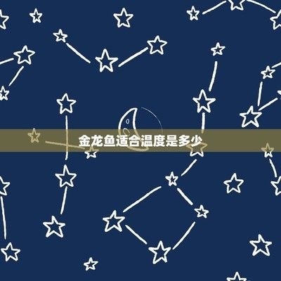金龍魚的魚缸里的水23度7天能活嗎為什么，金龍魚在23度水溫下7天內能存活7天，但需要注意水溫穩定