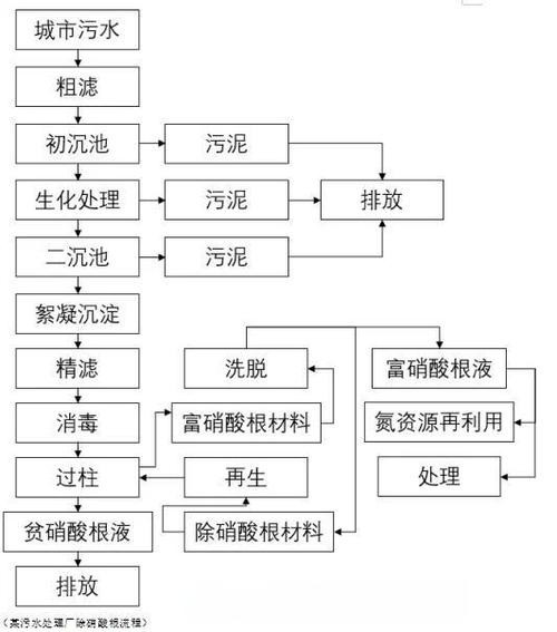 一張圖看硝化細菌成功 一張圖看硝化細菌成功 2025長城杯龍魚大賽 第25張