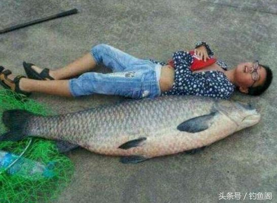 魚開口進食行為觀察方法：觀察魚開口進食行為的方法