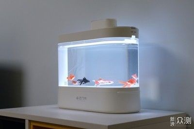 畫法幾何智能生態(tài)懶人魚缸：智能生態(tài)魚缸養(yǎng)護(hù)指南智能生態(tài)魚缸的養(yǎng)護(hù)指南