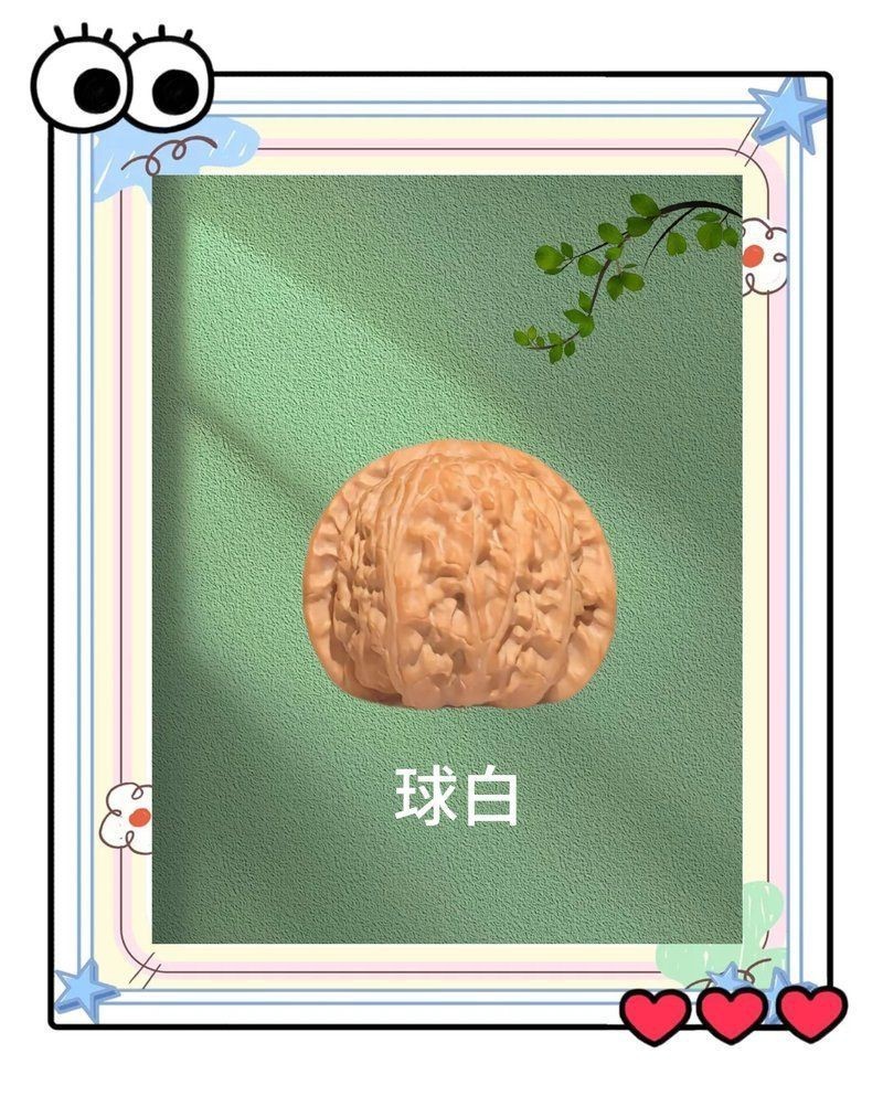紅獅子和白獅子區別
