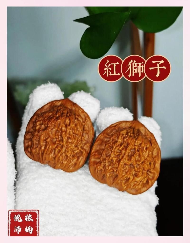 紅獅子和白獅子區別