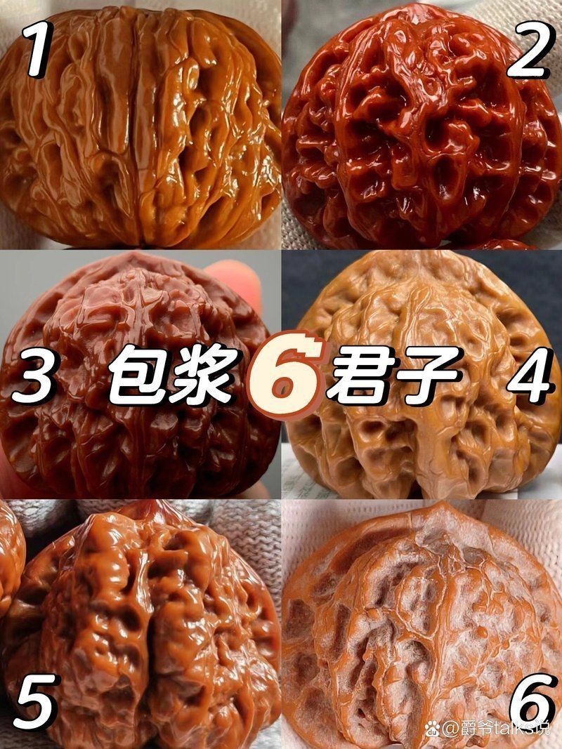 紅獅子和白獅子區別