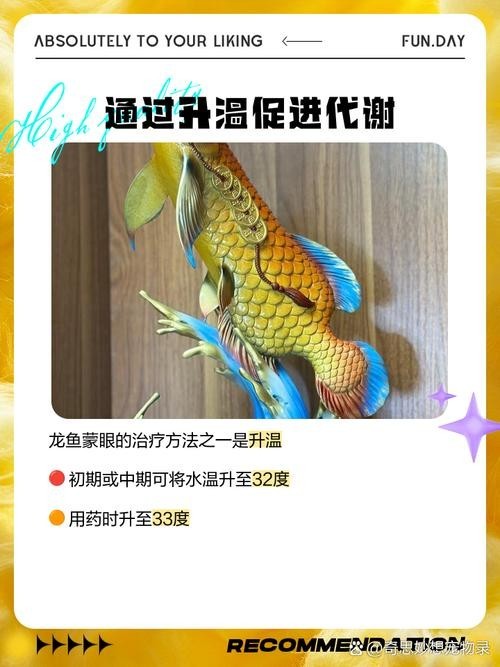 龍魚蒙眼最好治療方法圖片大全