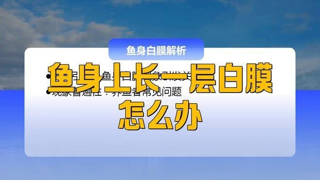 金龍魚身上有白膜怎么治療