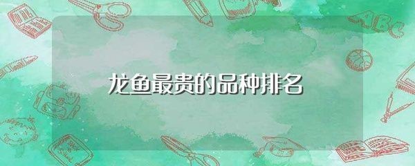 龍魚里最貴的是哪種，龍魚中最珍貴的品種是紅龍和金龍和金龍,紅色藏獒