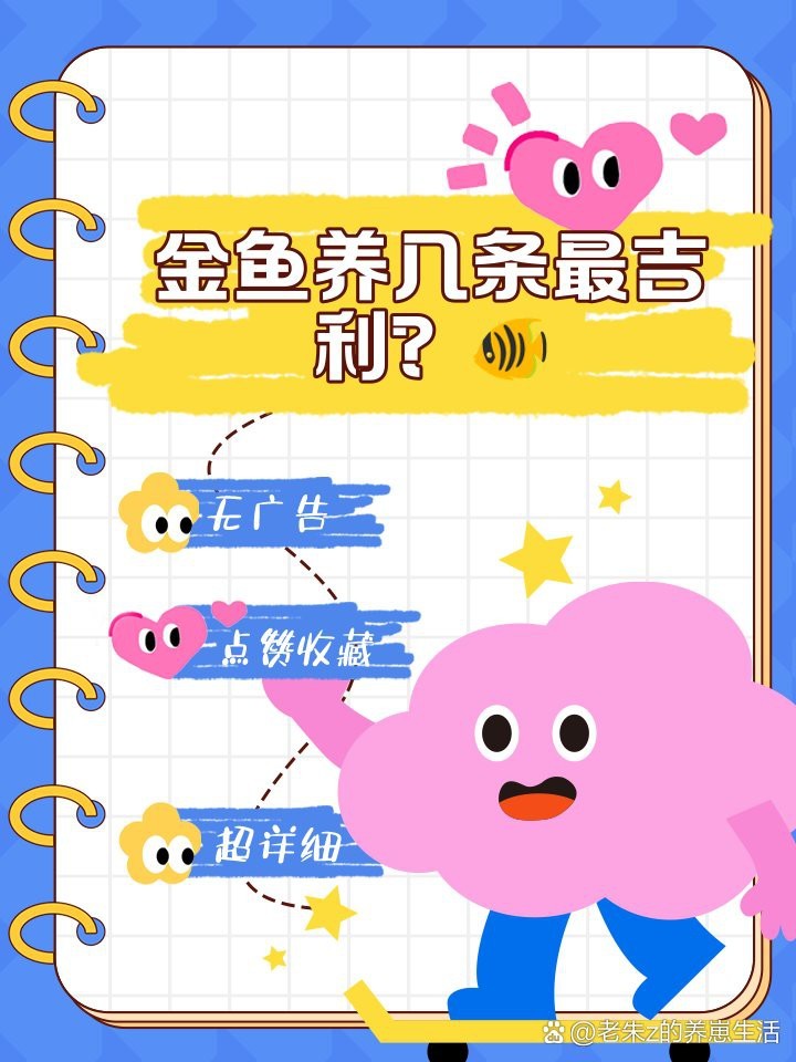 金魚養幾條一缸最吉利
