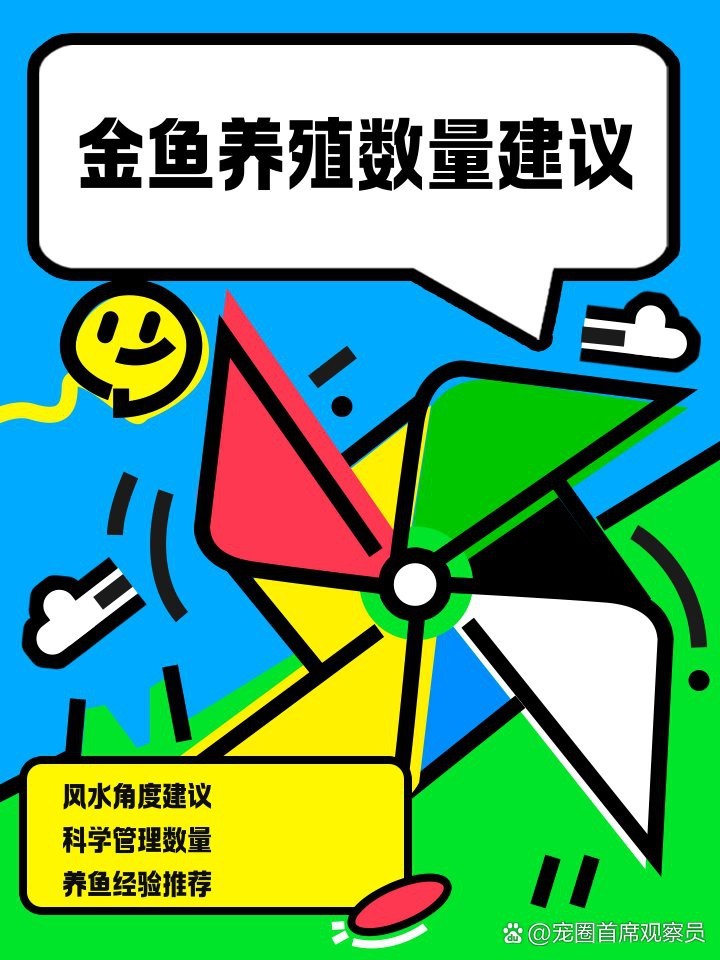 金魚養幾條一缸最吉利 金魚養幾條一缸最吉利 龍魚論壇 第8張