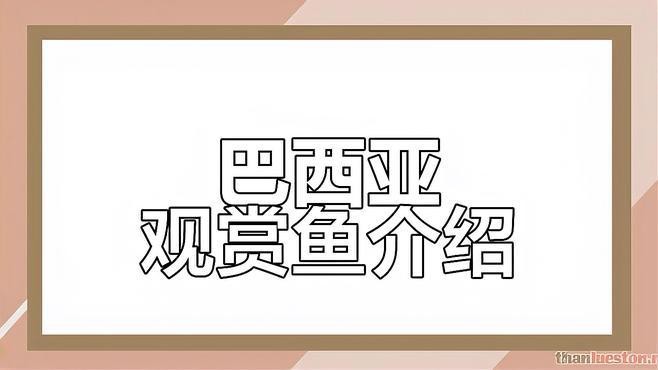 帝王三間和巴西亞區(qū)別