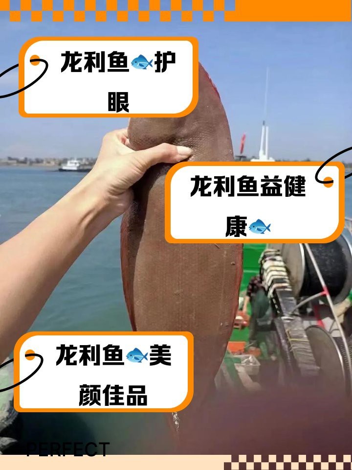 吃龍利魚的好處和壞處