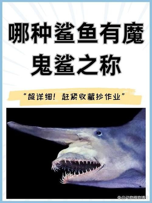 鬼鯊長什么樣子圖片