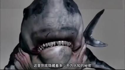鬼鯊長什么樣子圖片