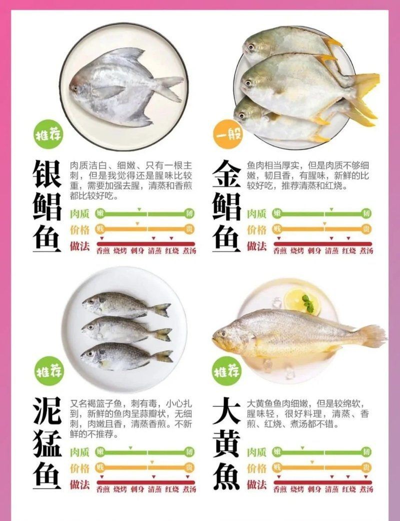 紅鯛魚學(xué)名