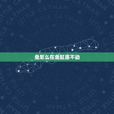 河北仙那生物科技有限公司（仙那都國際生態度假村）