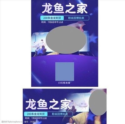 龍魚掃碼什么意思：——龍魚掃碼器使用方法