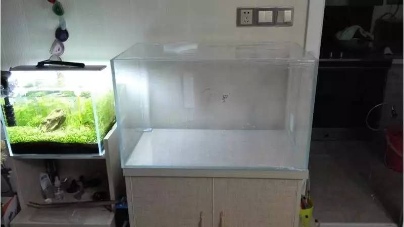 風水魚缸尺寸選擇魚缸尺寸選擇魚缸尺寸選擇不同的因素：家居風水中的魚缸尺寸
