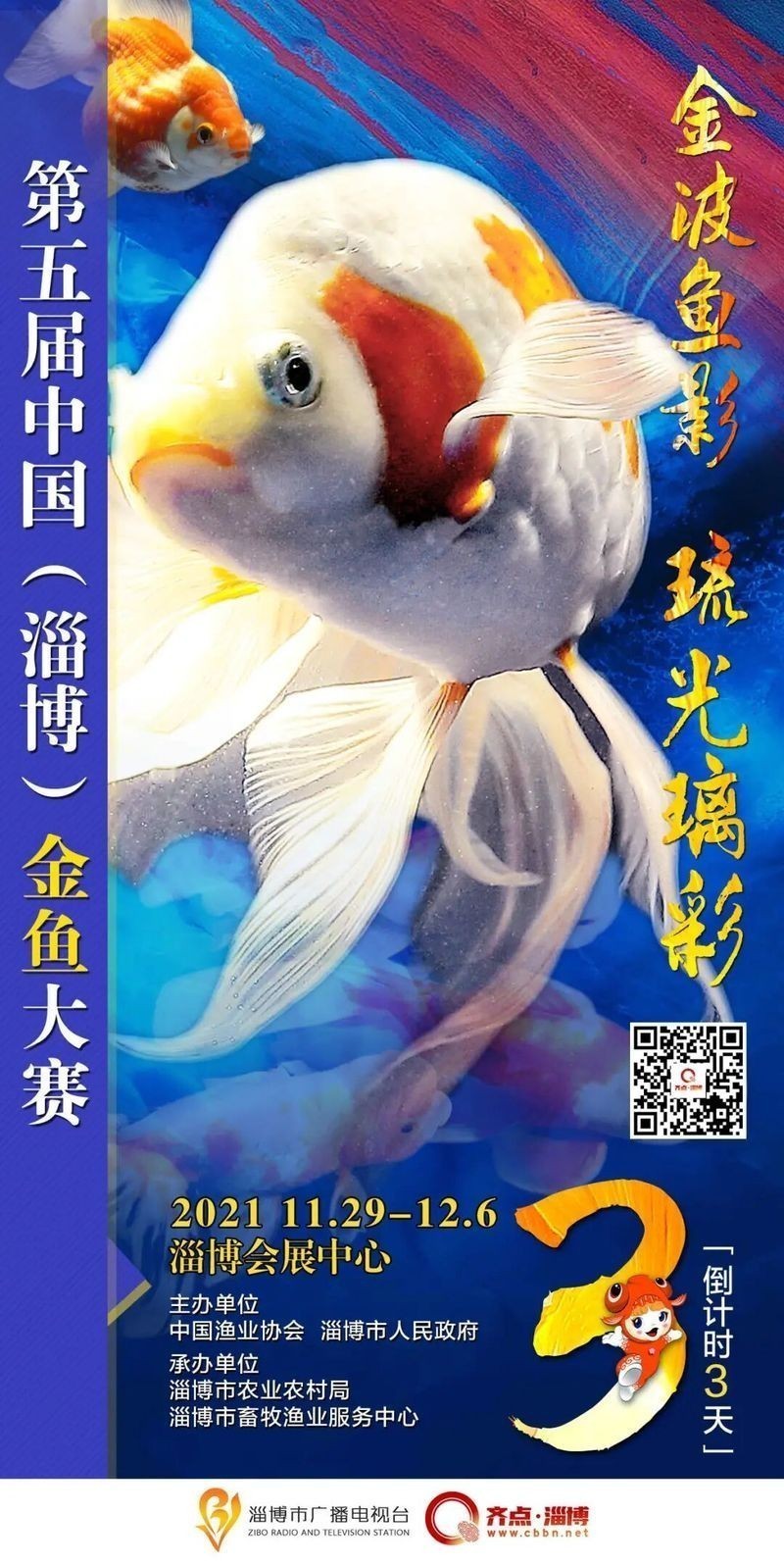 世界金魚大賽有哪些參賽品種？