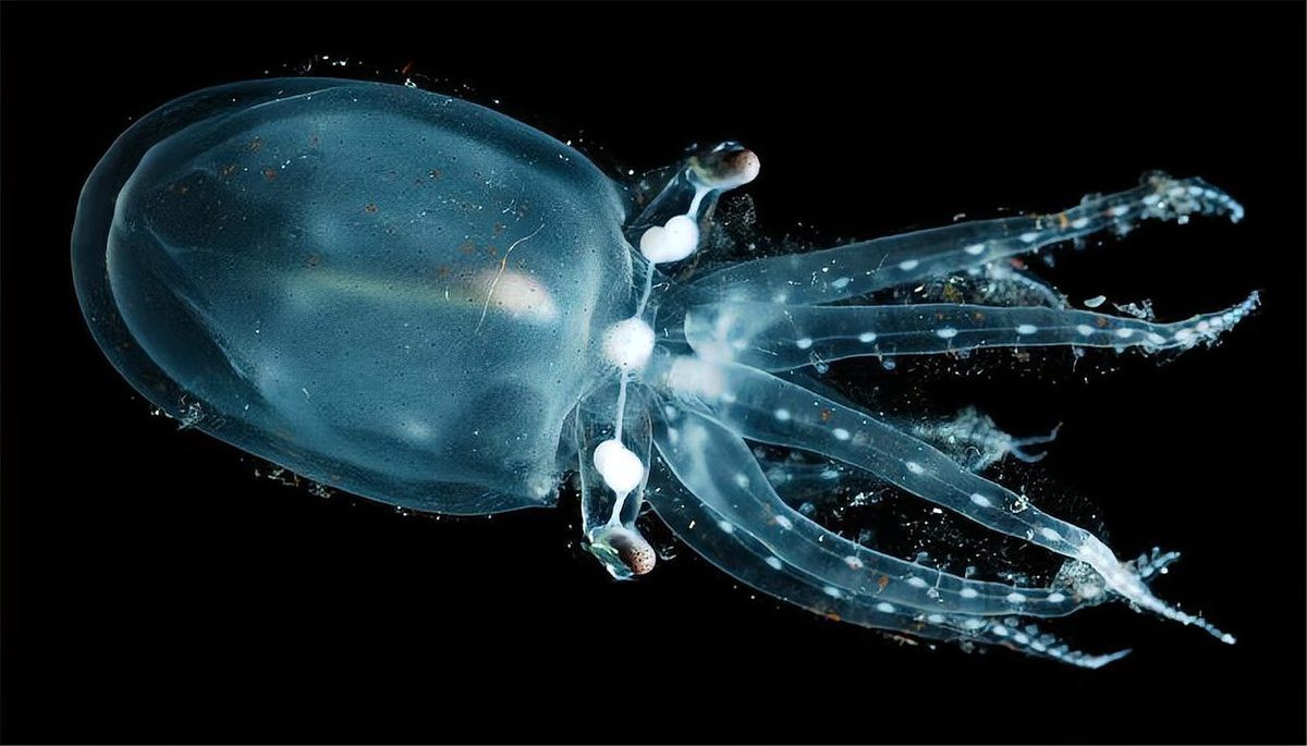 張北海淼水族館：張北海淼水族館電話 張北海淼水族館：張北海淼水族館電話 全國水族館企業名錄 第3張