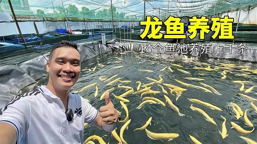 龍魚全國門店一覽表