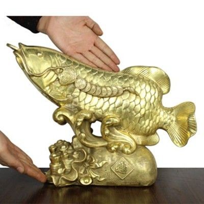 屬龍人養什么魚招財：屬龍人養魚能夠提升財運和運勢