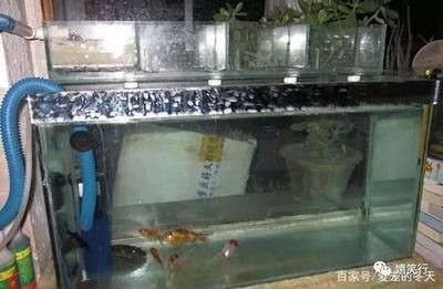 魚缸過濾系統(tǒng)配置技巧：如何清洗魚缸過濾器，魚缸過濾系統(tǒng)常見故障排查