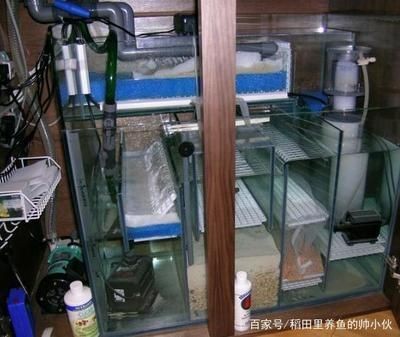 魚缸過濾系統(tǒng)配置技巧：如何清洗魚缸過濾器，魚缸過濾系統(tǒng)常見故障排查